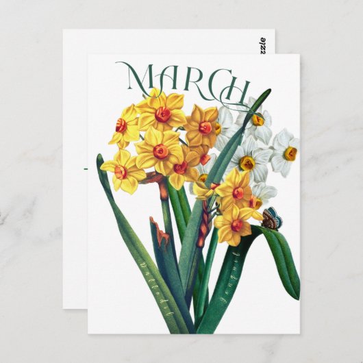 March Flowers Jonquil Daffodil Fancy Briefkaart (Voorkant / Achterkant)