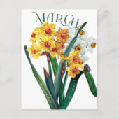 March Flowers Jonquil Daffodil Fancy Briefkaart (Voorkant)