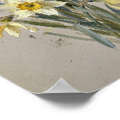 March Geboortebloem Narcis I Poster (Hoek)