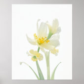 March Jonquil Geboorte Bloem Poster (Voorkant)