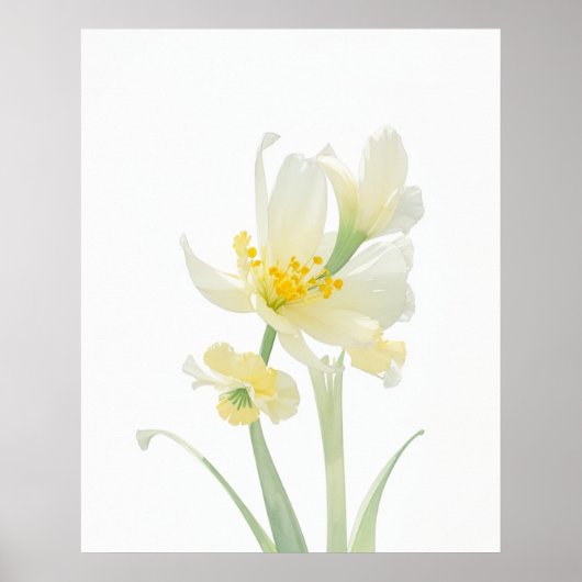 March Jonquil Geboorte Bloem Poster (Voorkant)