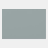 marcherende paddenstoelen inpakpapier vel (Voorkant 3)