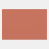 marcherende paddenstoelen inpakpapier vel (Voorkant 2)