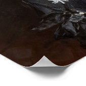 Marchesa Luisa Casati by Giovanni Boldini Poster (Hoek)