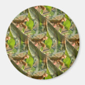 Marchin aan.... magneet (Voorkant)