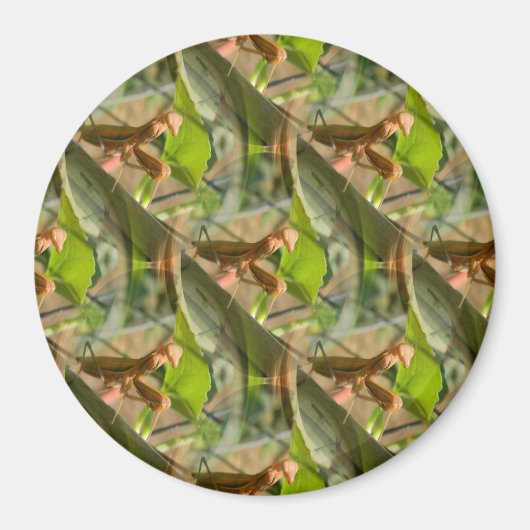 Marchin aan.... magneet (Voorkant)