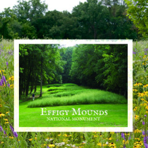 Marching Bear Mounds Group, Zomer, Effigy Mounds Briefkaart