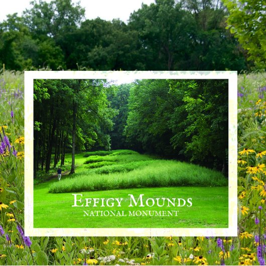 Marching Bear Mounds Group, Zomer, Effigy Mounds Briefkaart