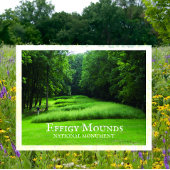 Marching Beer Mounds Group, Summer, Effigy Mounds Briefkaart