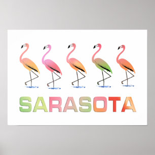 Marching Flamingos Sarasota Poster
