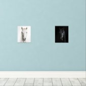 Marching zwart wit paard portretten muurkunst sets (Houten vloer)