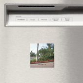 Marco Island, FL Magneet (Insitu (Vaatwasser))