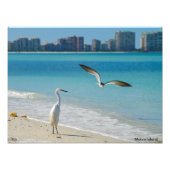 Marco Island Foto Afdruk (Voorkant)