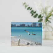 Marco Island Wildlife briefkaart (Staand voorkant)
