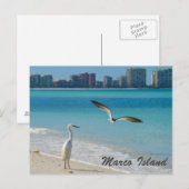 Marco Island Wildlife briefkaart (Voorkant / Achterkant)
