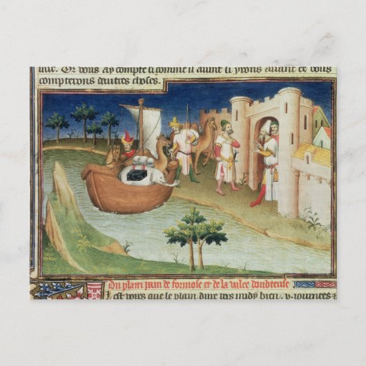 Marco Polo met olifanten en kamelen aankomen Briefkaart (Voorkant)