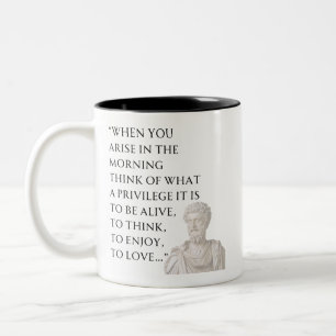 Marcus Aurelius Citaat Mok
