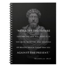 Marcus Aurelius Journal