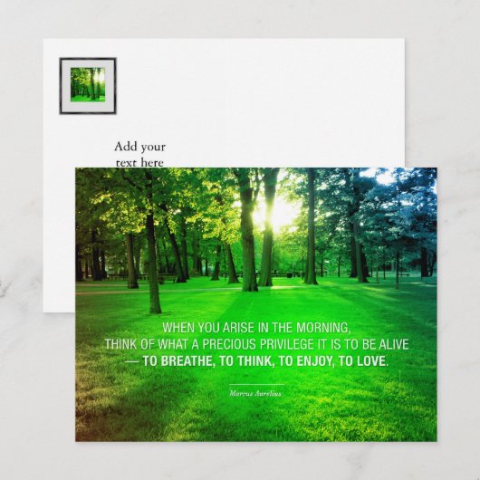 Marcus Aurelius Life Stoic Privilege citeert het l Briefkaart (Voorkant / Achterkant)