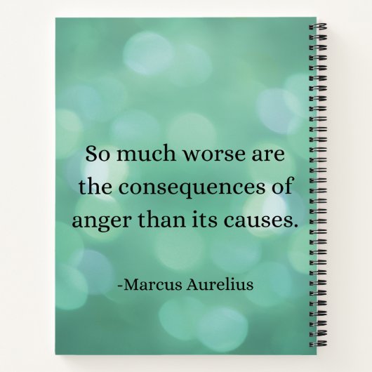 Marcus Aurelius: Verover woede en vind innerlijke Notitieboek (Achterkant)