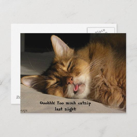 Marcus heeft een helling briefkaart (Voorkant / Achterkant)