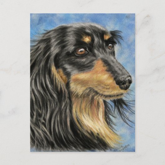 Marcus - Lange Haired Dachshund Art Briefkaart (Voorkant)