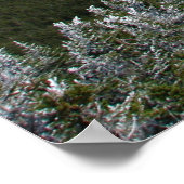 Marcy Trail Poster (Hoek)