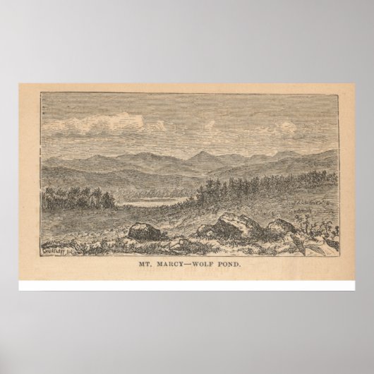 Marcy - Wolf Pond Poster (Voorkant)