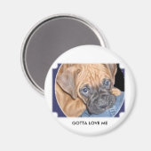 marcys hond hier, MOET VAN ME HOUDEN Magneet (Voorkant / Achterkant)