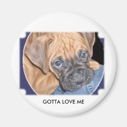 marcys hond hier, MOET VAN ME HOUDEN Magneet (Voorkant)