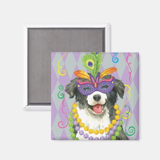 Mardi Gras Border Collie Magneet (Voorkant / Achterkant)