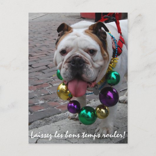 Mardi Gras Bulldog Briefkaart (Voorkant)