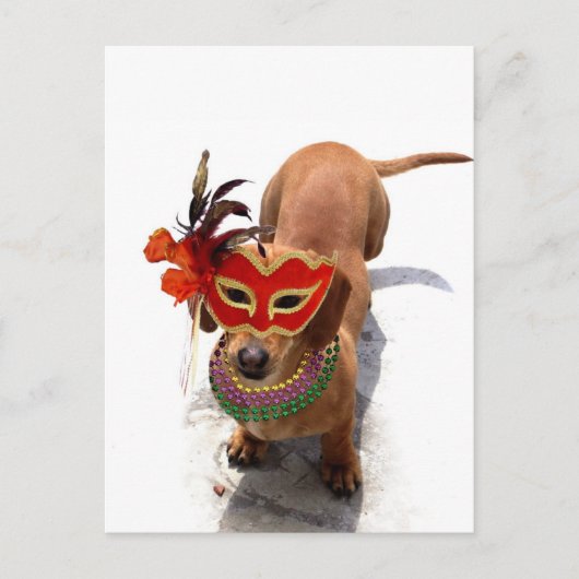 Mardi Gras Dachsund dog Briefkaart (Voorkant)