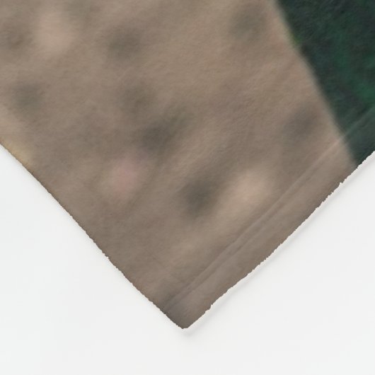 Mardi Gras Dog Jester Costume Fleece Deken (Hoek)