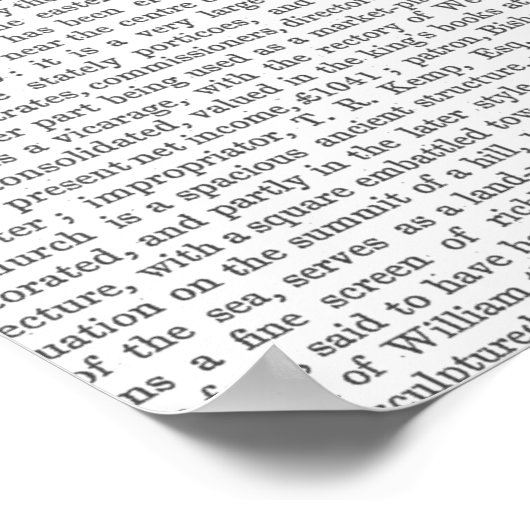 Mardi Gras Flamingo Full Poster (Hoek)