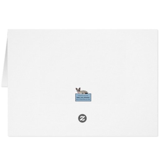 Mardi Gras Kittens Wenskaart (Achterkant Horizontaal)