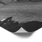 Mardi Gras Parade, 1906.  foto Poster (Hoek)