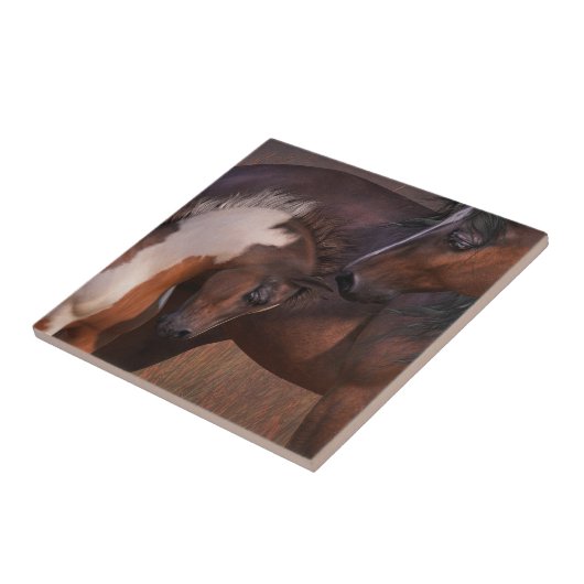 Mare and Foal Art Tile Tegeltje (Zijkant)