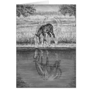 Mare and Foal Horse Drawing beroemd gemaakt door K
