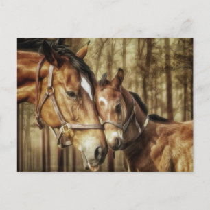 Mare and Foal - Horse Lovers Art Briefkaart
