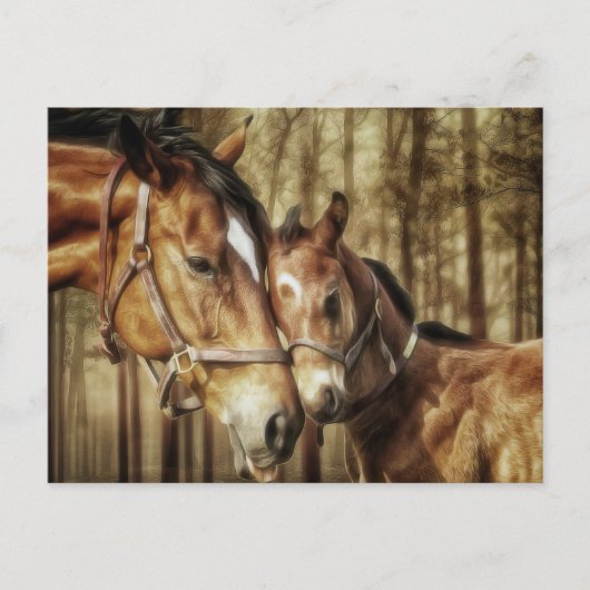 Mare and Foal - Horse Lovers Art Briefkaart (Voorkant)