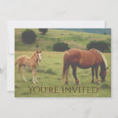 Mare and Foal Horse Neutraal Baby shower Uitnodigi Kaart (Voorkant)