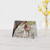 Mare and foal standing together in the sunshine kaart (Gele Bloem)