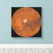 Mare Australe regio Mars Canvas Afdruk (Insitu (Houten vloer))
