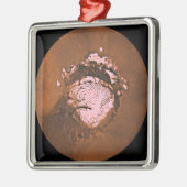 Mare Boreum gebied Mars Metalen Ornament (Links)