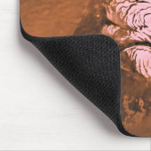 Mare Boreum gebied Mars Muismat (Hoek)