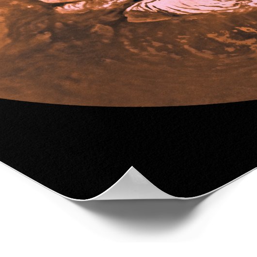 Mare Boreum gebied Mars Poster (Hoek)