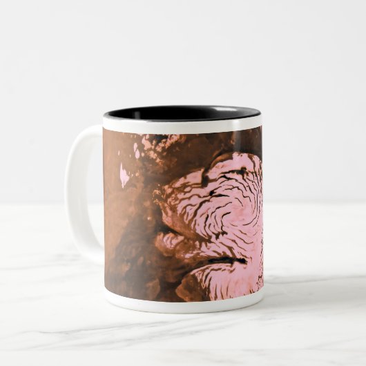 Mare Boreum gebied Mars Tweekleurige Koffiemok (Voorkant links)