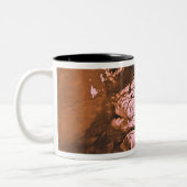 Mare Boreum gebied Mars Tweekleurige Koffiemok (Links)
