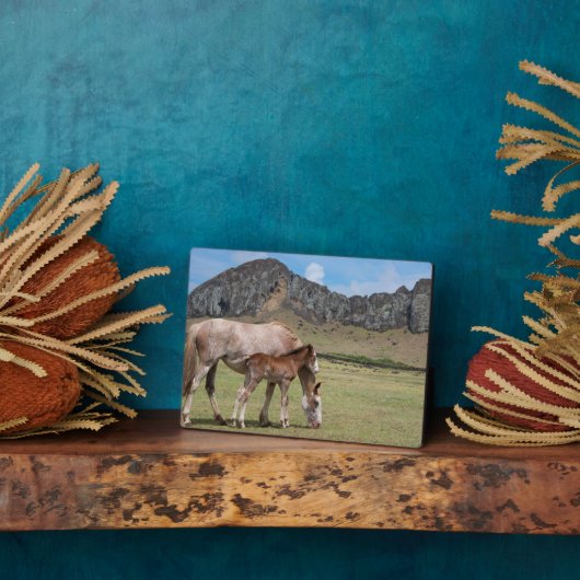 Mare & Colt in de vulkaankrater van Rano Raraku Fotoplaat (Zijkant)